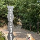 강북구 북서울꿈의숲 반려견놀이터 개장 주차정보