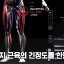 블로썸 핏 네이버블로그
