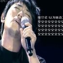 총각네식육식당 - 김해시 가야로181번길 9-18 | 총각네식육식당