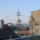 온산밀면 | 용암동 스시히어로 / 일산해수욕장 / 온산횟집 / 대왕암공원 / 카페 피카