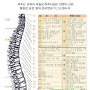 허리 디스크 협착과 꼬리뼈 빠짐으로 골반,허리통증 자연치유 후기 이미지