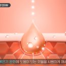 수원-1580 티스토리