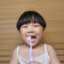 아     덴 | 내돈내산 덴티플 유아칫솔 사용후기