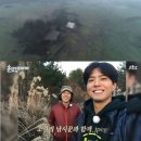 숲속작은민박 이미지