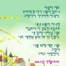 콩깍지 이미지