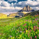 6월 미국 및 한국 증시 결산 및 7월 전망 이미지