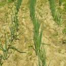 내곡농장 이미지