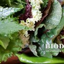 바이오농장 이미지