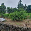 남원읍-34 이미지