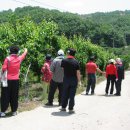 은식농장 이미지