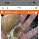 송하수산 네이버블로그