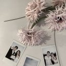 메가스주문가구 | W12. 아 기다리고 오 기다리고 라 기다리던 아오라스튜디오(Ahora) 촬영 후기 | 부산 웨딩스냅