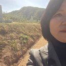 이진숙 의원이 이재명선산 공개 환영 이미지