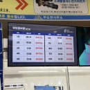 성심특수여객자동차 - 서초구 사평대로 140 | 제주 우도가는배 성산항 우도항 선박 요금부터 시간표 영유아 동반 렌트카 반입 조건 총정리