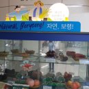 대명종합카 이미지