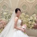 올로르 이미지