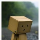 네모의꿈 이미지