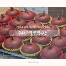 대구역근대골목단팥빵 | [대구] 동대구역 빵집 위치/추천 후기(근대골목 단팥빵/삼송빵집/대구별빛샌드/수형당)