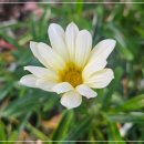 홍어사랑 | ⭐ 직접 해본 고향사랑기부! 홍어 답례품 + 이벤트 파김치까지 받은 후기(1석 3조 혜택)