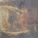 서라아파트 이미지