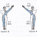 방계 이미지