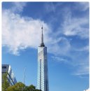 [일본 후쿠오카 가볼만한곳] 후쿠오카 타워 야경&amp; 모모치해변