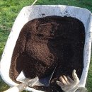 아름다운 정원을 꿈 이미지