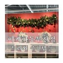 와 | 이케아 동부산점 크리스마스 트리 와 이케아 추천템 후기