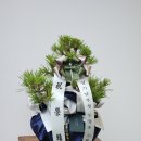 해송약국 네이버블로그