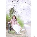 4월10일(수) 춘천 봄내길, 의암호 벚꽃길 이미지