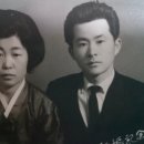 미남동의요양병원 | 잘생긴 미남, 아버지