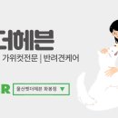 더펫미용실 이미지