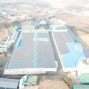 JK태양광발전소 이미지