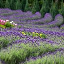 양산우체국 이미지