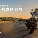 호넷컴퍼니 이미지