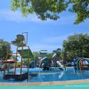 솔숲공원 화장실 이미지