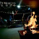 강화캠핑장 하랑캠핑장 글램핑 예약 매매 추천 오토