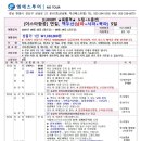 엠에스투어 이미지
