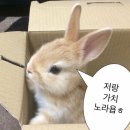 세천6길 이미지
