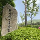 무안막갈비 | #SPRING_54 : 용인 무안막갈비 &amp; 용인 자연휴양림