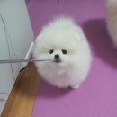 빛나 Daum카페