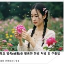 🦟요통,면역에 특효! 벌독(蜂毒) 추출법 이미지