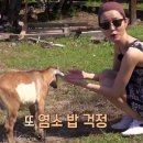 안경마스터 이미지