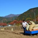 제환농장 이미지