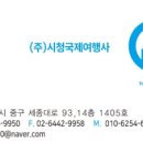 시청국제여행사
