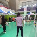 어울림 | 2025 평창 어울림 한마당 축제 후기