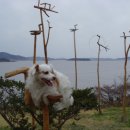 노을자리 이미지