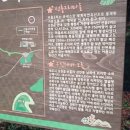 우진제비 오름 그 푸르름에 반하다~~