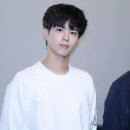 택이 이미지