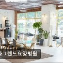 온요양병원 | [서울 요양병원/추천/후기/가격] 송파그랜드요양병원 전문 재활과 친절 케어의 요양병원